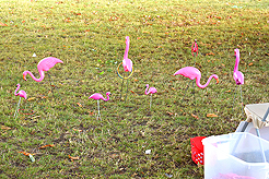 LAURELHURST SALMON BAKE 2016